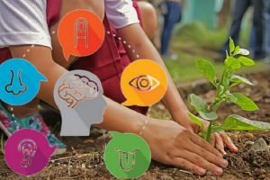 School started Horticulture Therapy to help special children in Koonammavu