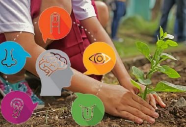 School started Horticulture Therapy to help special children in Koonammavu