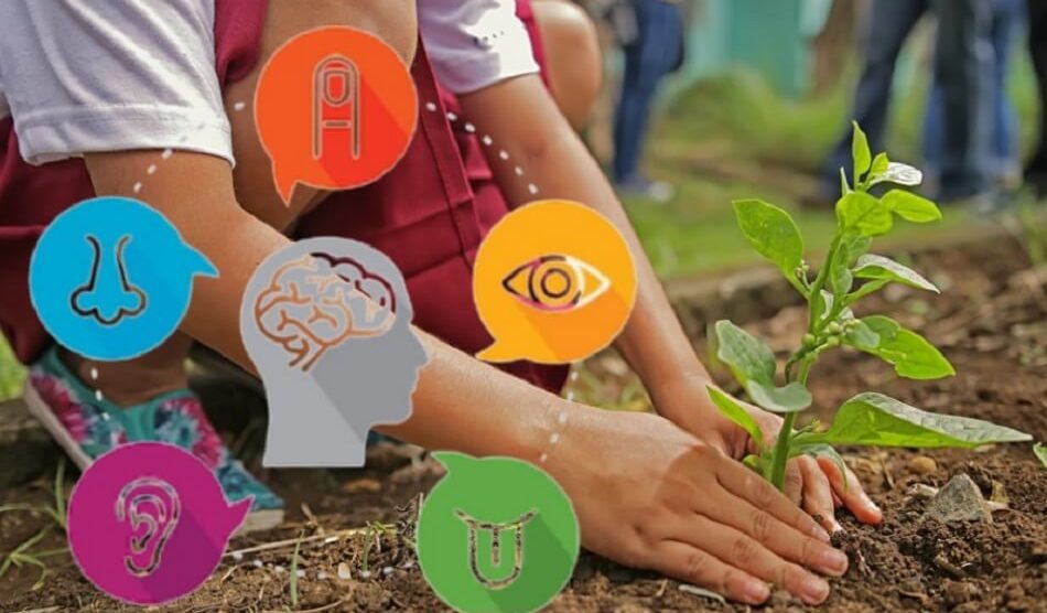 School started Horticulture Therapy to help special children in Koonammavu