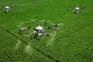 Syngenta India received licence to use drones for spraying fungicide in paddy