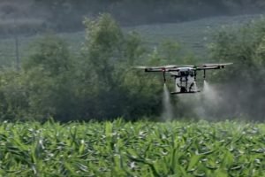 Drawbacks and Benefits of using drones in agriculture - Industry view