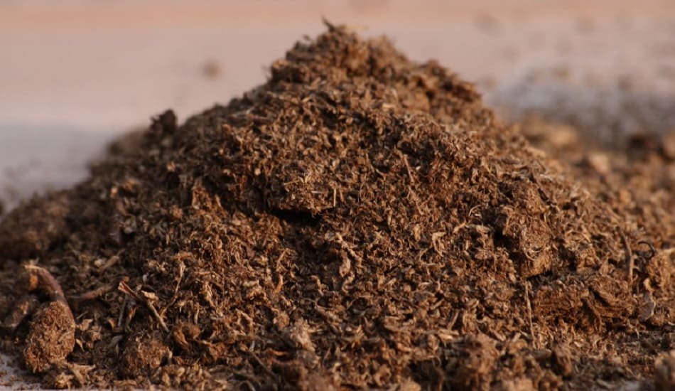 England's move to ban peat moss, likely to help Indian exports of coir pith (1)
