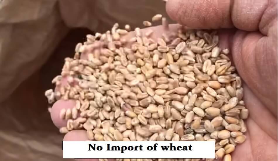 India refuted the media allegation that it is set to import Wheat foodgrain