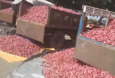 50,000 tonnes Onions from govt's buffer stocks to be offloaded to keep price stable