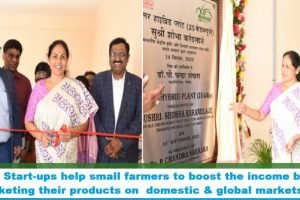 Agri start-ups should assist small-scale farmers to boost income - Karandlaje