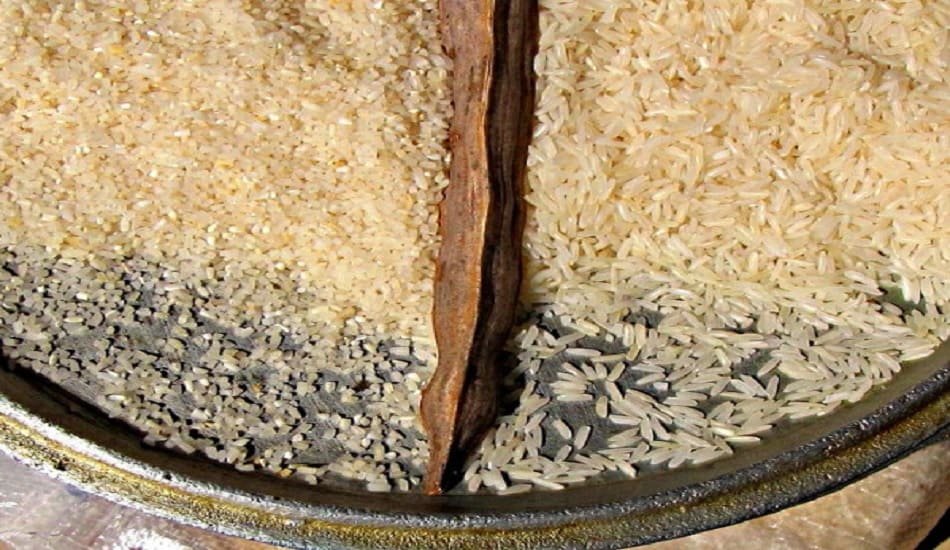 India's ban on broken rice export criticized by US, EU & Senegal at WTO