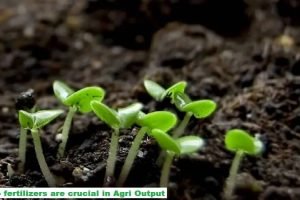 Nano fertilisers improve plant nutrient utilisation -Sameer Goel.