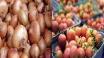 SBP demands Govt to permit exporting onion, tomato to Pakistan