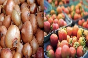 SBP demands Govt to permit exporting onion, tomato to Pakistan