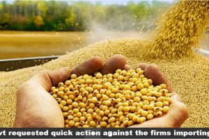 SOPA urged govt to stop illegal imports of genetically modified (GM) soyabean