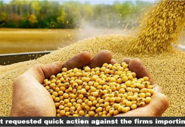 SOPA urged govt to stop illegal imports of genetically modified (GM) soyabean