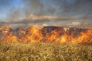 Centre deploys officials to Punjab to raise awareness to reduce stubble burning