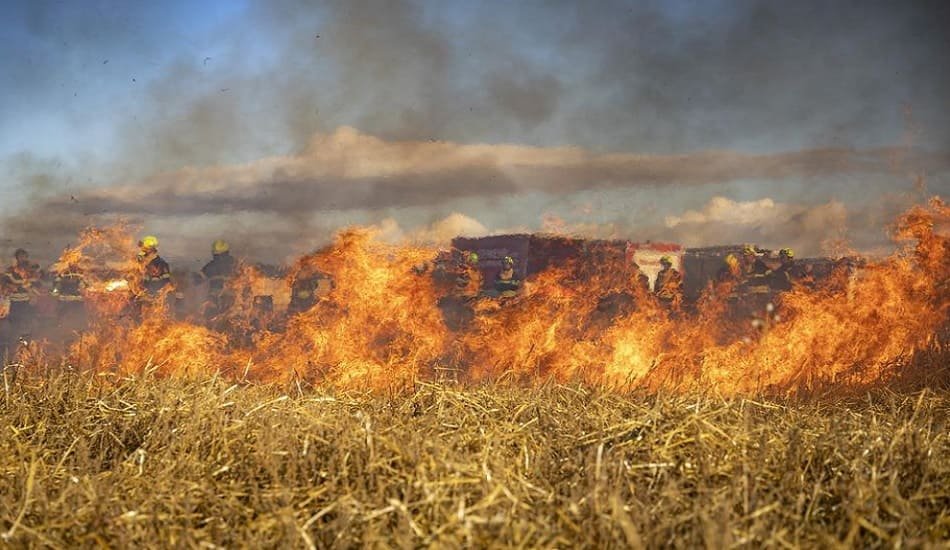 Centre deploys officials to Punjab to raise awareness to reduce stubble burning