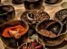 World Spice Organization hosts first National Spice Conference in Mumbai