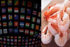 FIFA World Cup - Qatar temporarily banned Indian seafood imports