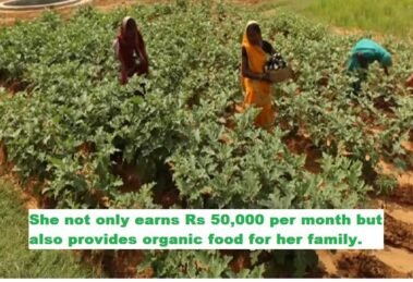 Hundreds of women farmers adopted climate-resilient farming