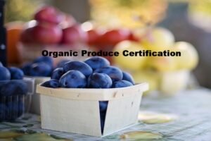 APEDA to let farmers apply online for NOC for their organic produce