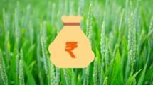 India may soon decide to issue green bonds to support portion of NMNF