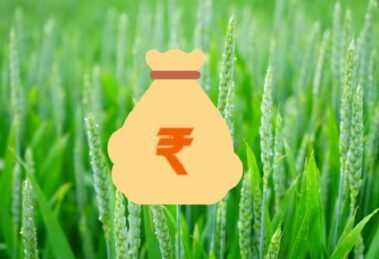India may soon decide to issue green bonds to support portion of NMNF