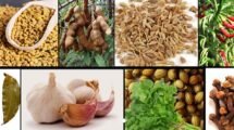 KSSDB, Spices Board to host buyer-seller meeting in Hubballi on Dec 22