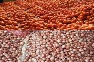 Kolar farmers urge govt to fix MSP for tomato, onion as prices crash in Karnataka