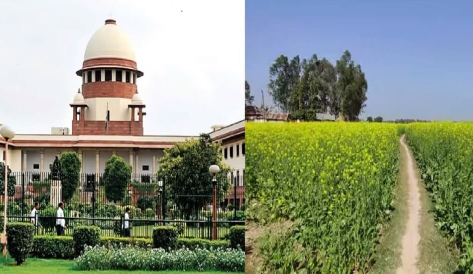 Supreme Court to govt, if Indian agri would be ‘doomed’ without GM crops