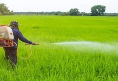 Agrochemicals company Safex to invest ₹100 Cr in its AgCare Technologies