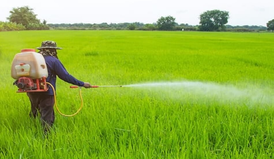 Agrochemicals company Safex to invest ₹100 Cr in its AgCare Technologies