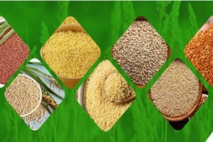 Benchmark price for minor millets soon to help states get millets for PDS
