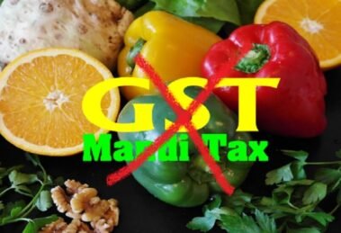 Union Budget 2023 - Agritech sector demands GST, mandi tax abolition