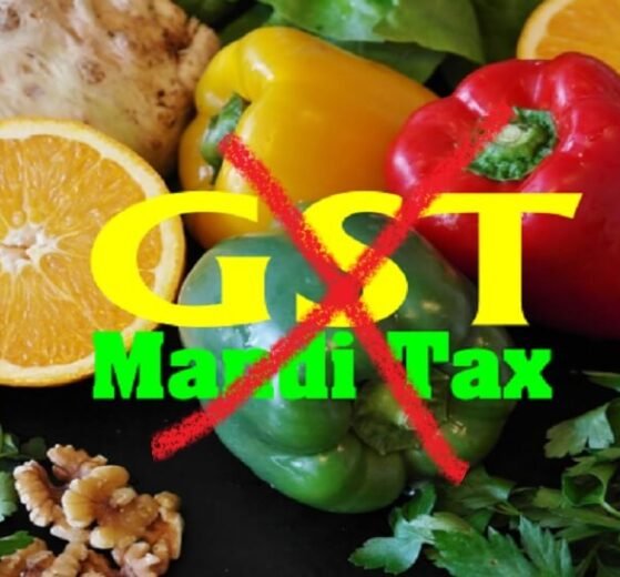 Union Budget 2023 - Agritech sector demands GST, mandi tax abolition