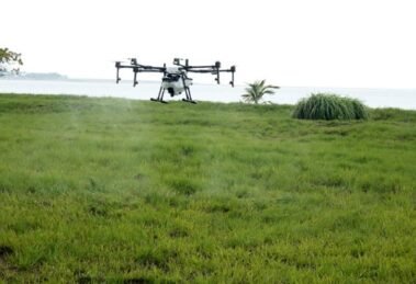 Syngenta, IoTech partner to use drones in agriculture and hire rural youth. (1)