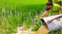 Assam to encourage more scientific research into organic farming