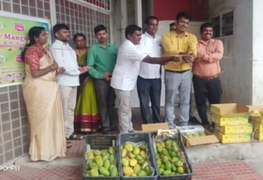 Kolar farmers launch online portal for door-to-door mango delivery service