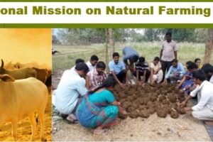 National Mission on Natural Farming to promote natural farming