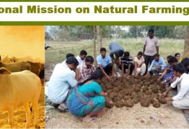 National Mission on Natural Farming to promote natural farming