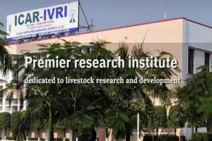 Cow urine not fit for human consumption, says ICAR-IVRI research team (1)