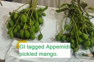 Karnataka's GI tagged Appemidi pickled mango has export potential