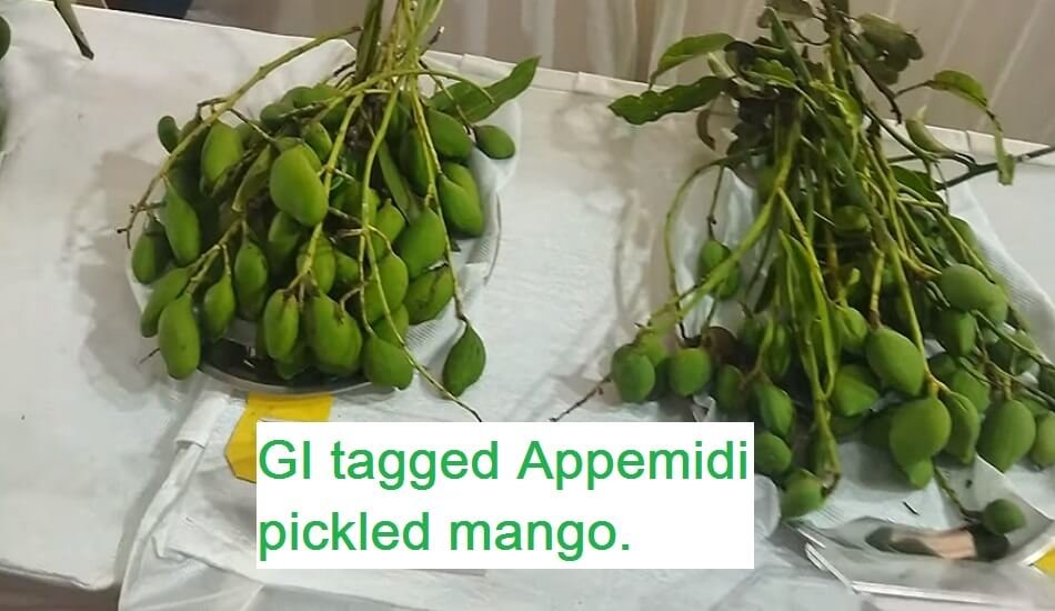 Karnataka's GI tagged Appemidi pickled mango has export potential