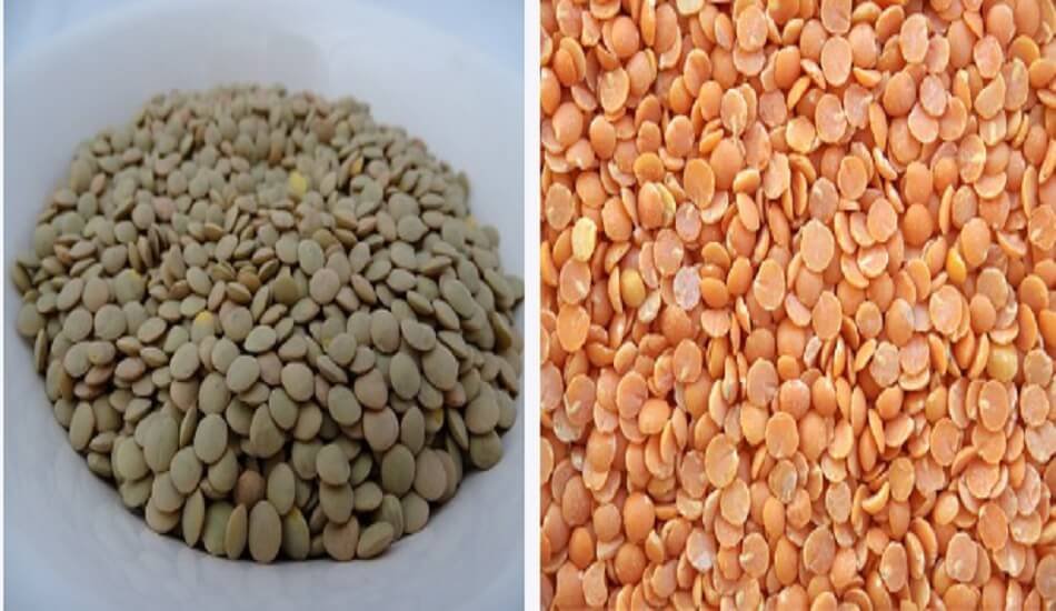 Lentils estimated to be five-year high, which rule below MSP in various mandis