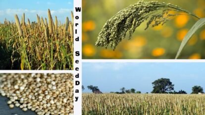 Women farmers displayed over 50 varieties of kharif seeds at 'World Seed Day'