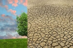 Climate change a major challenge for farmers in eight countries: survey