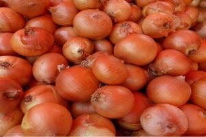 Govt purchased Kharif onion for buffer stock, domestic prices stable