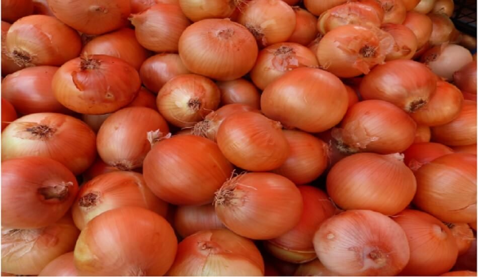 Govt purchased Kharif onion for buffer stock, domestic prices stable