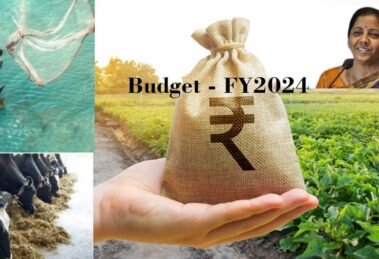 Agriculture Ministrybudget allocation FY2024–25