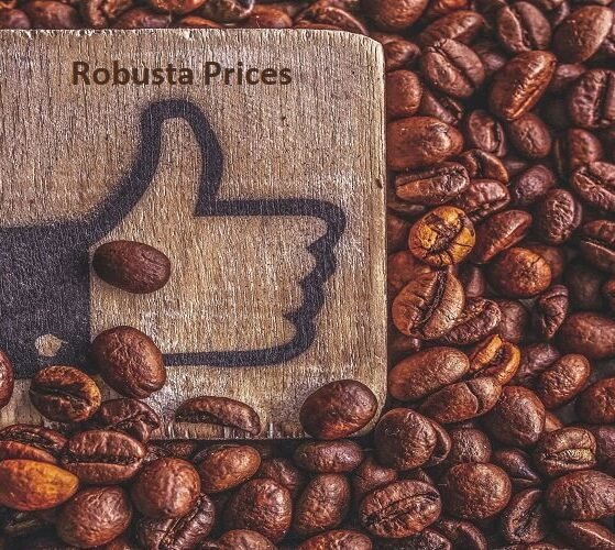 Indian-coffee-exports-exceeded-₹10000-crore-in-FY24-due-to-rising-Robusta-prices