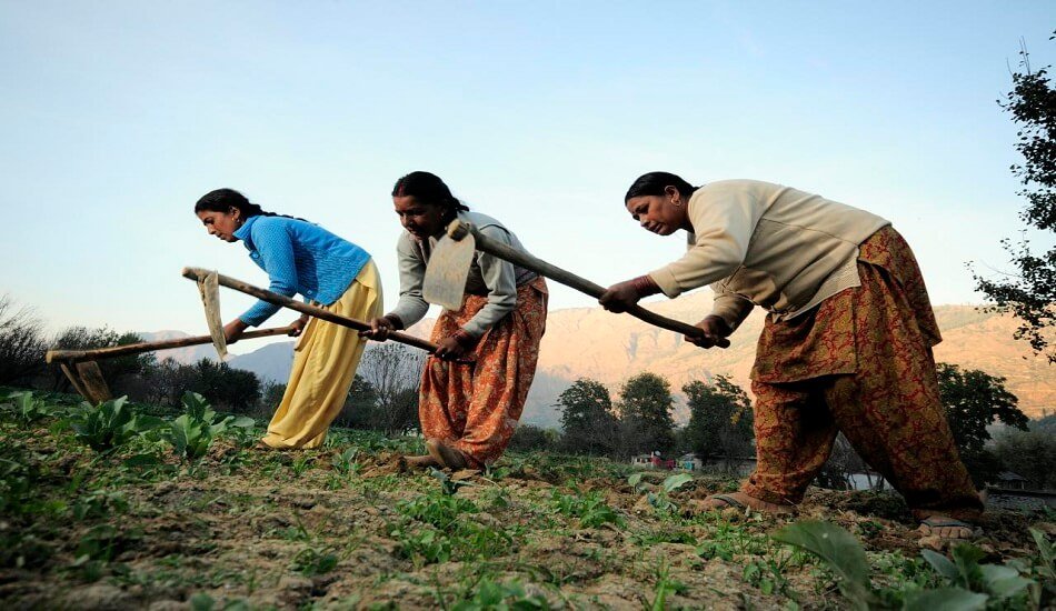 Ayekart Grameen Foundation India FPOs