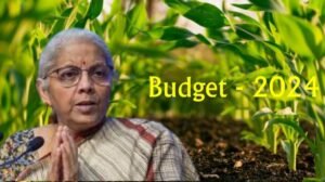 Budget-2024-An-attempt-to-entice-farmers-or-a-dry-spell?
