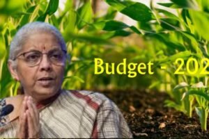 Budget-2024-An-attempt-to-entice-farmers-or-a-dry-spell?