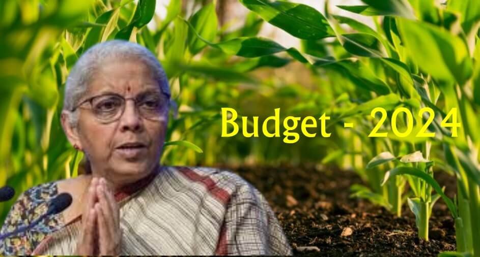 Budget-2024-An-attempt-to-entice-farmers-or-a-dry-spell?